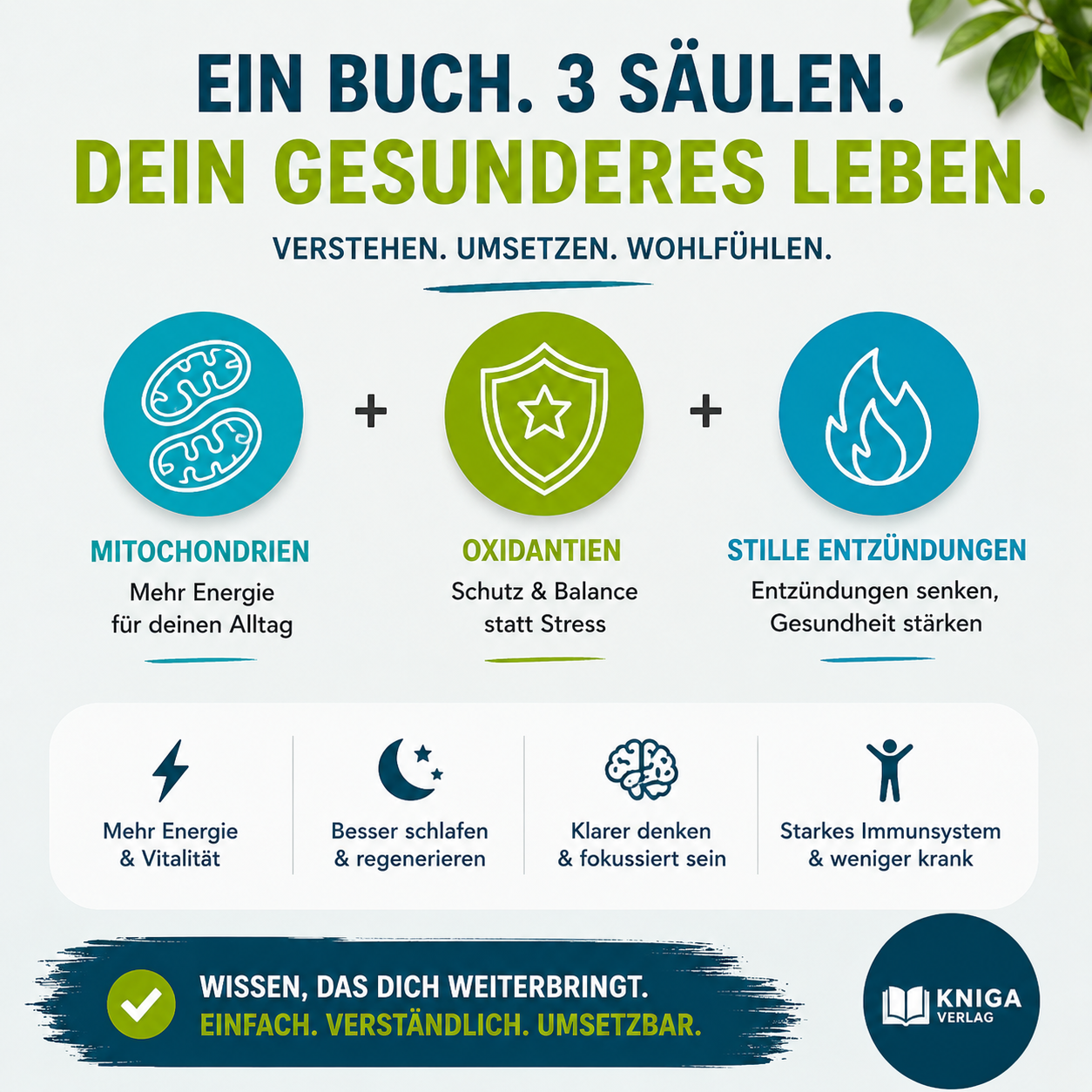 Die 3 Säulen der Gesundheit - Lange leicht leben
